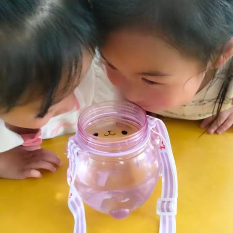 关爱学生幸福成长｜💞奇妙的水💞｜临漳县柳园镇中心校邓庄