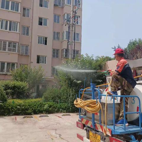 做好蚊蝇消杀  保障居民安心度夏