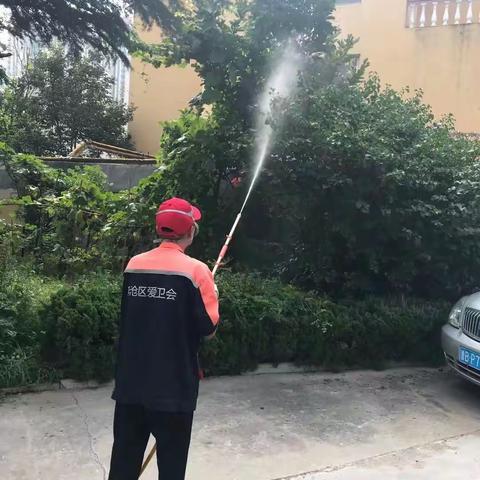 秋季蚊子“猛如虎”