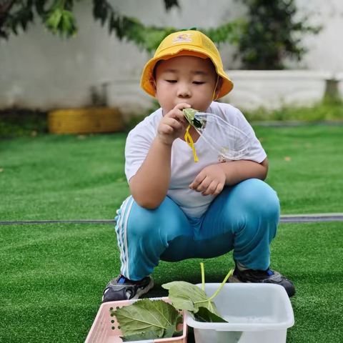 “幼”见秋日，走进秋分——实验幼儿园安东园区节气秋分活动