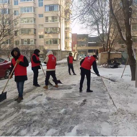 党建共建同助力，扫雪除冰暖人心