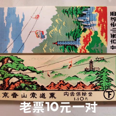 元月11日售票！