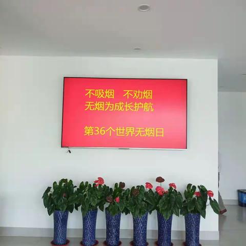 【智创高地  活力枣园】强化控烟宣传，营造无烟环境---枣园街道组织开展第36个世界无烟日宣传活动