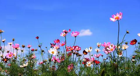 203班写话集锦——神秘的礼物