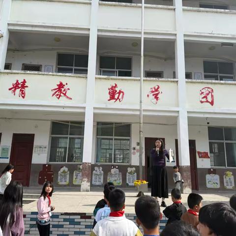 凝心聚力促成长 笃行实干向未来——台湖小学第十一周工作总结