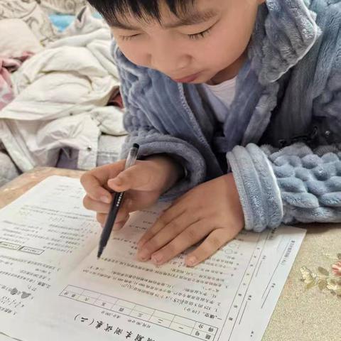 三年级十五班张宗佑的寒假生活