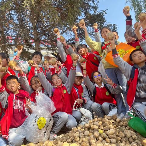 享劳动之乐，品劳动之美 ——银滩路小学秋收实践活动纪实