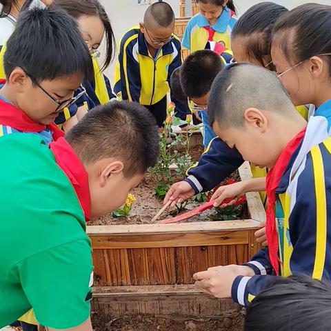 星源学校项目式学习探索实践