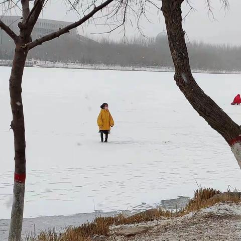 假期生活游记