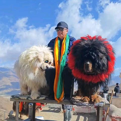 西藏：雪域高原的灵魂之歌