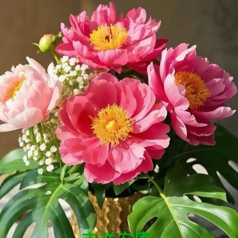 九三学社西城第三综合支社重阳节参观燕园长寿养老社区活动纪实