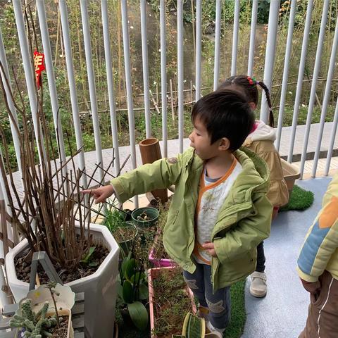 柳州市公园路幼儿园总部小七班“你好，冬天”主题活动