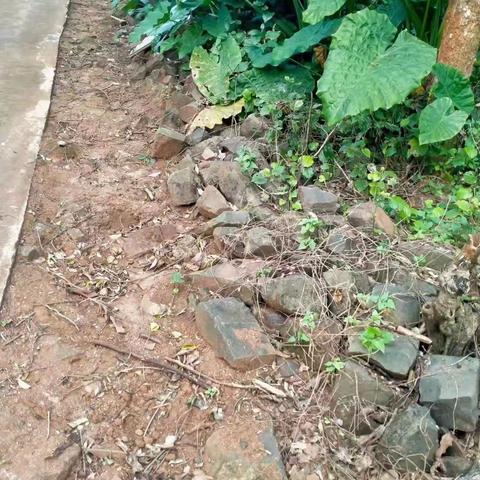 崇德村委会开展常态化人居环境卫生整治