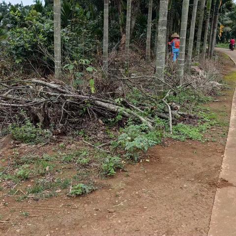 崇德村持续开展人居环境卫生整治活动
