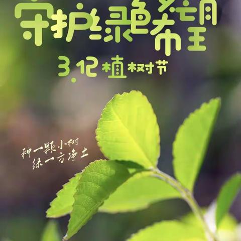 让绿色🌲成为我们的底色🌿‖城北区第一幼儿园植树节倡议书🌈