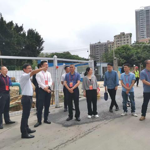 碧头联络站开展交通环境视察调研暨2023年度“代表活动月”工作会议活动