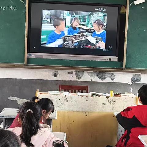 洲村小学第16周工作总结