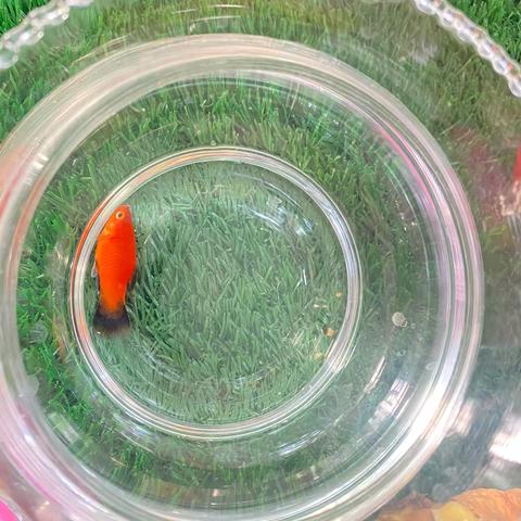 “新”朋友怎么了？