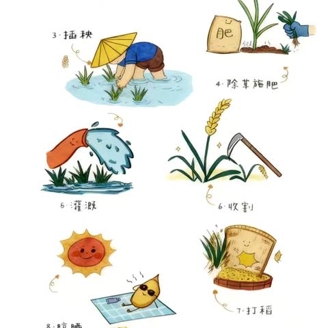 爱惜粮食 不负好“食”光