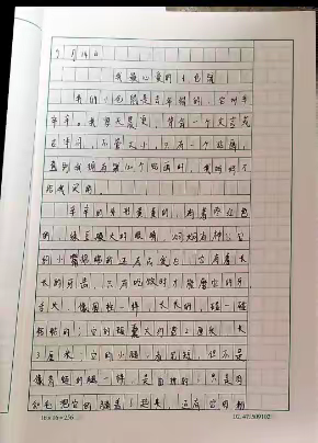 我最心爱的小仓鼠