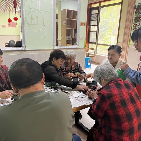 智远街道盛福百合社区日间照料中心开展“银龄巧手种多肉”疗愈系园艺活动