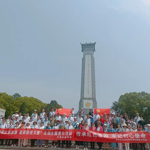 赓续红色血脉      凝聚奋进力量