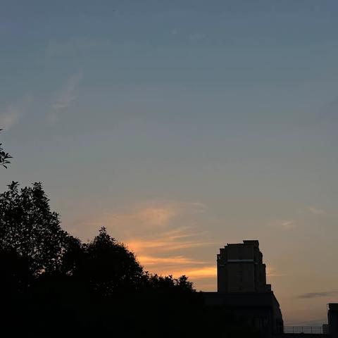 痛定思痛 抓紧时间——八九一周