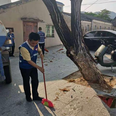 梅东村继续联合区营商环境建设局做“清洁家园，防蚊灭蝇”打扫卫生活动