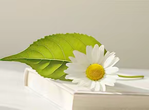 Dear Teacher, My English Hero——兴义市铭烨小学教师节英语贺卡DIA制作比赛活动