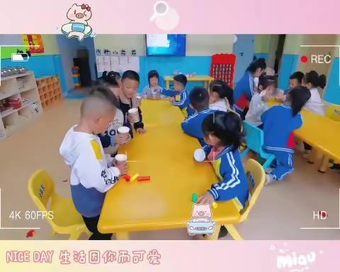 东王台幼儿园小一班本周活动