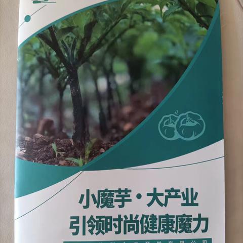 小魔芋，大市场