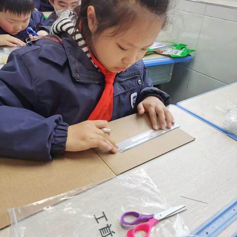 煤港路五年级鲨鱼科学课《下落,下落》