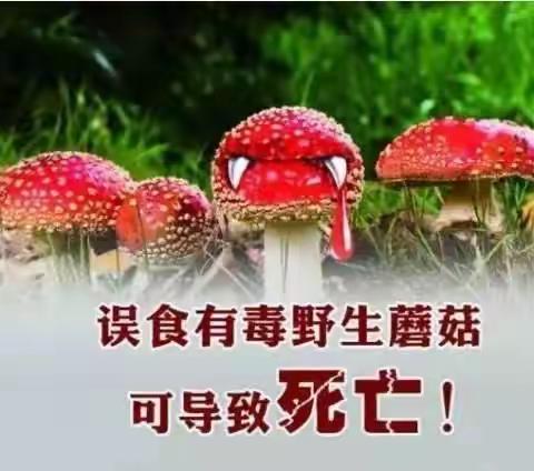 珍爱生命，远离毒蘑菇——聂家桥乡中心幼儿园预防野生菌中毒