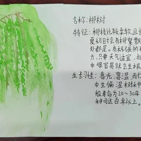 关爱学生幸福成长，校园大搜索活动