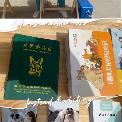【幸福“道”＋】萌宠关爱行，社区暖时光