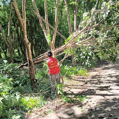 辖区清理道路交通安全隐患