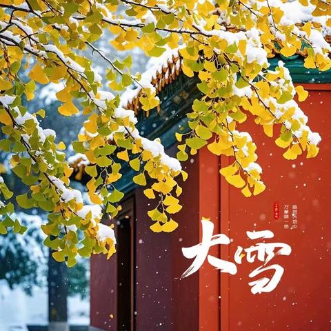 大雪至 童梦甜 —彩鹿中班 大雪节气主题活动