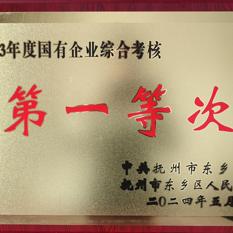 再获殊荣！东乡城投集团荣获2023年度全区国有企业综合考核第一等次