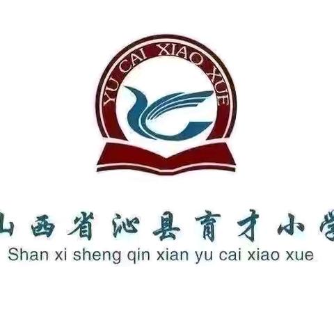 以合作之舟，载教育新篇——沁县育才小学"小组合作共学"专题培训纪实