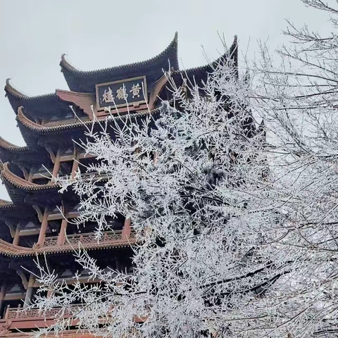 雪歇初霁，乘势而上，  集结再战，保畅护安。