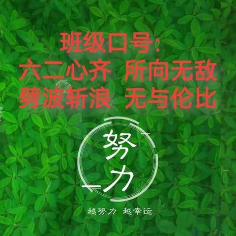 逐梦奋进，不负光阴 刘庄学校六年级（2）班期末总结