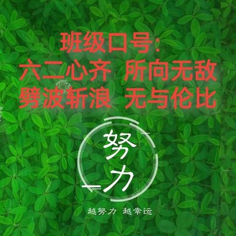 花开有期，何惧道阻且长 刘庄学校六（2）班期末总结