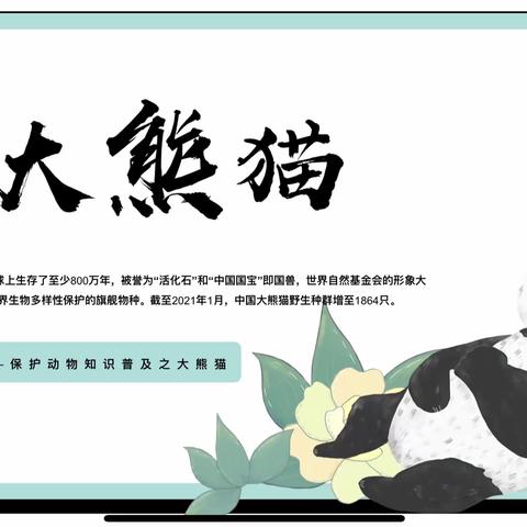 【家长上讲台 携手育英才】巴师附小五年级三班家长课堂《走进大熊猫》