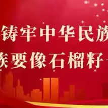 自治区教育厅中小学 ‍校园文化建设指导组莅临 ‍地苏镇镇安小学检查指导工作