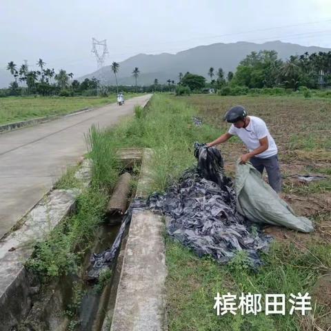 天涯区农业农村局6月7日秸秆巡查