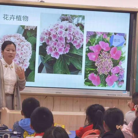 城厢小学三年级一班——家长进课堂《认识花卉之多肉的种植方法》