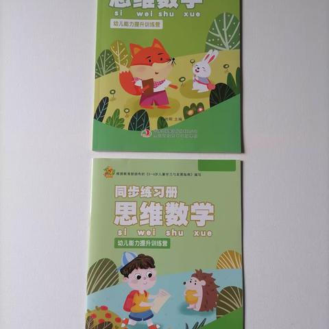 《暑期幼儿能力训练营·思维数学》