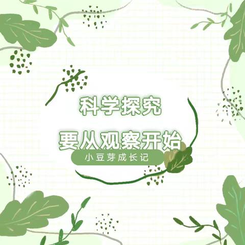 科学探究要从观察开始 | 小豆芽成长记——丛台区贾村小学二年级科学篇纪实