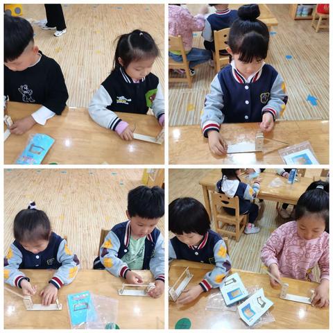 金盾幼儿园2023科学课堂精彩汇集
