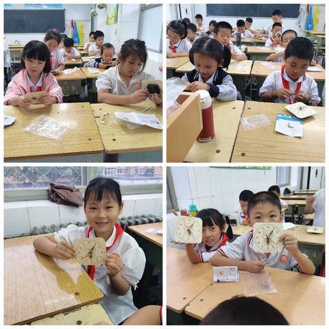 师大附小奇妙科学社团精彩汇集